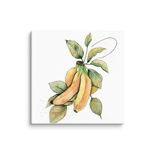 minimalist banana fruit illustration in watercolor