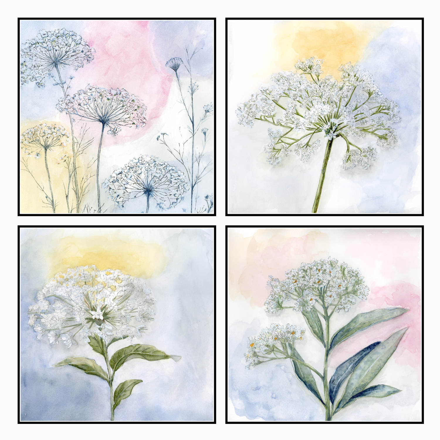 Lace & Sky Collection