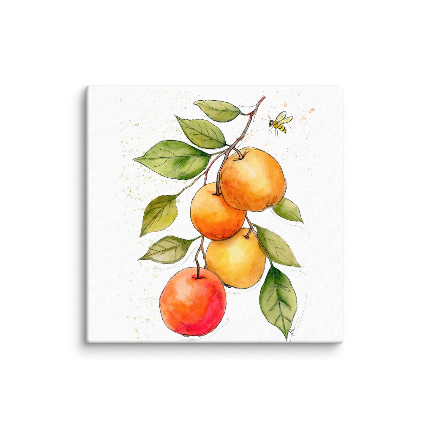soft red apples painting with bee detail in watercolor